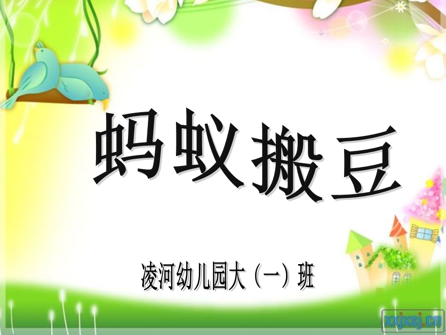 蚂蚁搬豆（课件).ppt_第1页