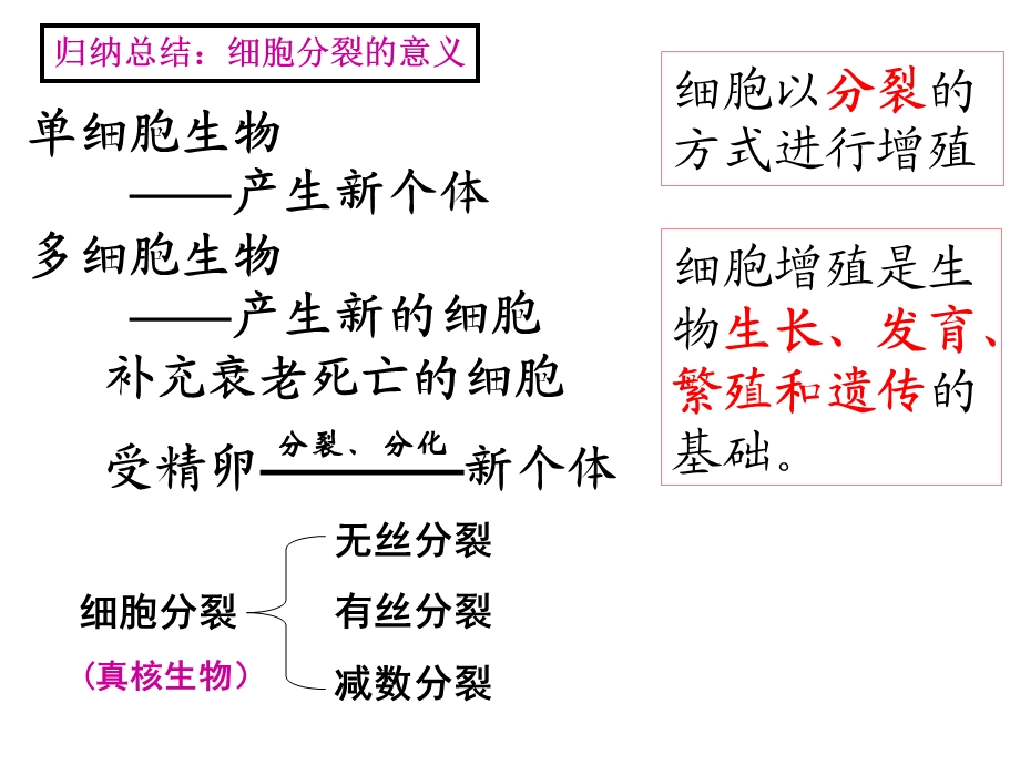 五章节一节细胞增殖一章节时扬州市新华中学蒋选荣文档资料.ppt_第3页