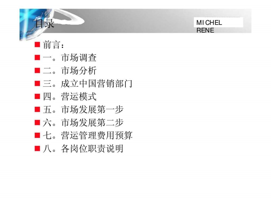 MICHELRENE品牌发展计划书18.ppt_第2页