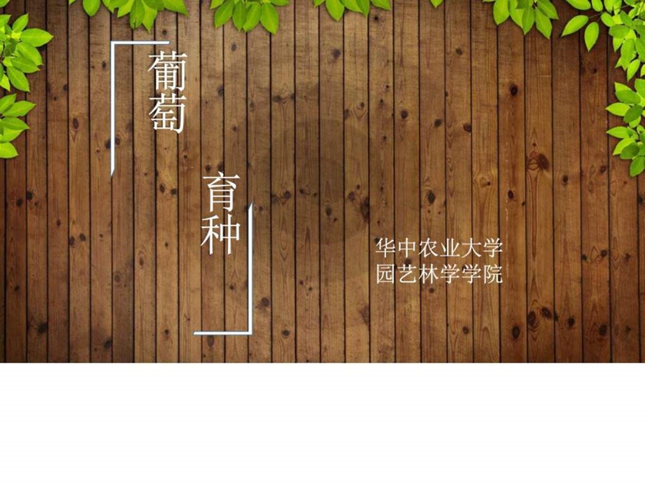 花艺走进社区图文.ppt.ppt_第1页