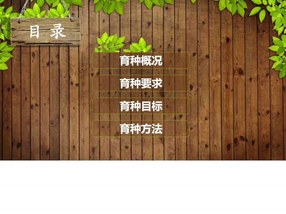 花艺走进社区图文.ppt.ppt_第2页