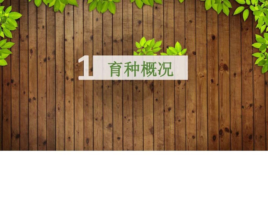 花艺走进社区图文.ppt.ppt_第3页