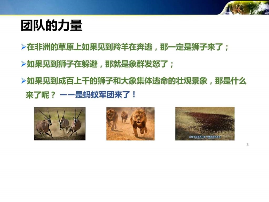 略谈团队.ppt_第3页