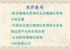 企业财务精确化管理.ppt