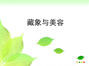 美容图文.ppt.ppt