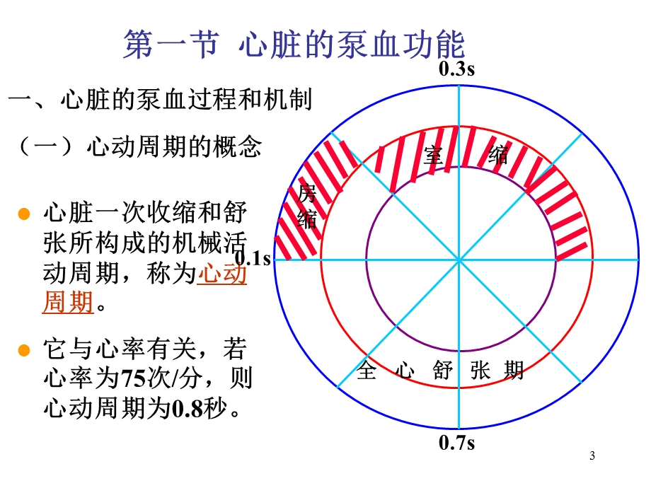 血液循环文档资料.ppt_第3页