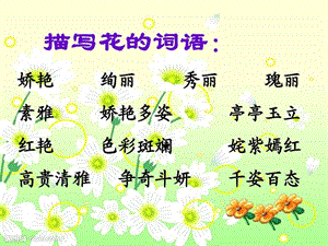 一路花香图文.ppt.ppt