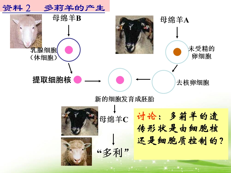 《细胞核——系统的控制中心》教学课件.ppt_第3页