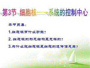 《细胞核——系统的控制中心》教学课件.ppt