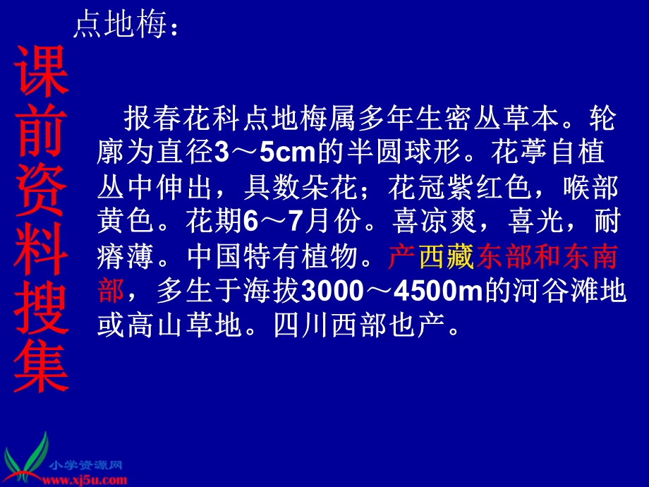 语文（低）１４４静观教管华兰英《烂漫的点地梅》PPT.ppt_第2页