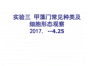 3.实验三甲藻门常见种类及细胞形态观察4.25图文.ppt.ppt