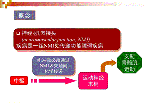 神经肌肉接头疾病文档资料.ppt