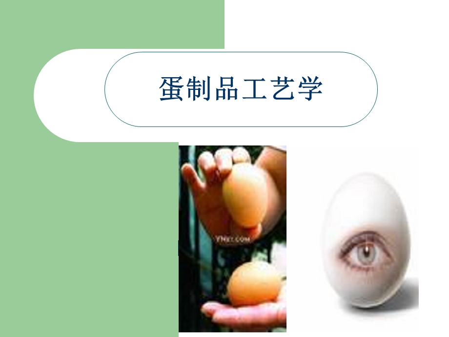 蛋制品工艺学.ppt_第1页