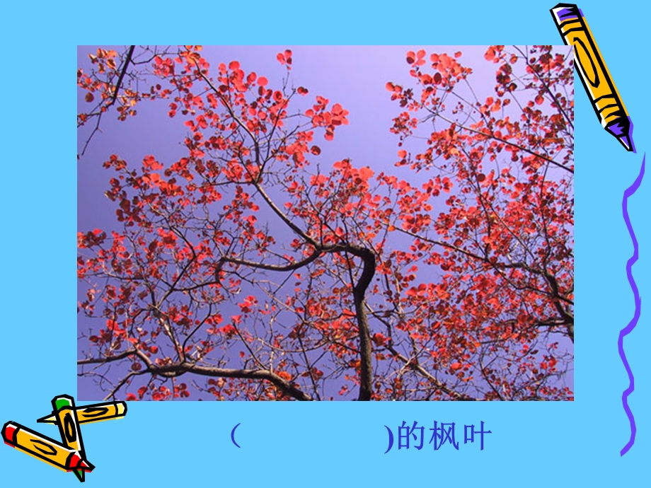 《19蓝色的树叶》.ppt_第3页