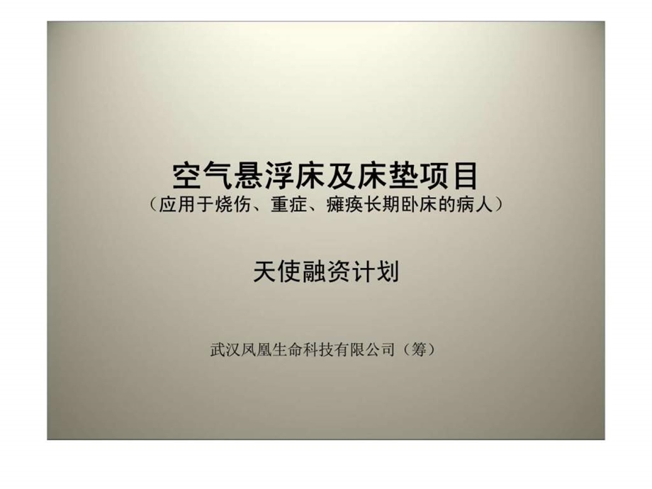 武汉凤凰生命科技有限公司空气悬浮床及床垫项目天使融资计划.ppt_第1页