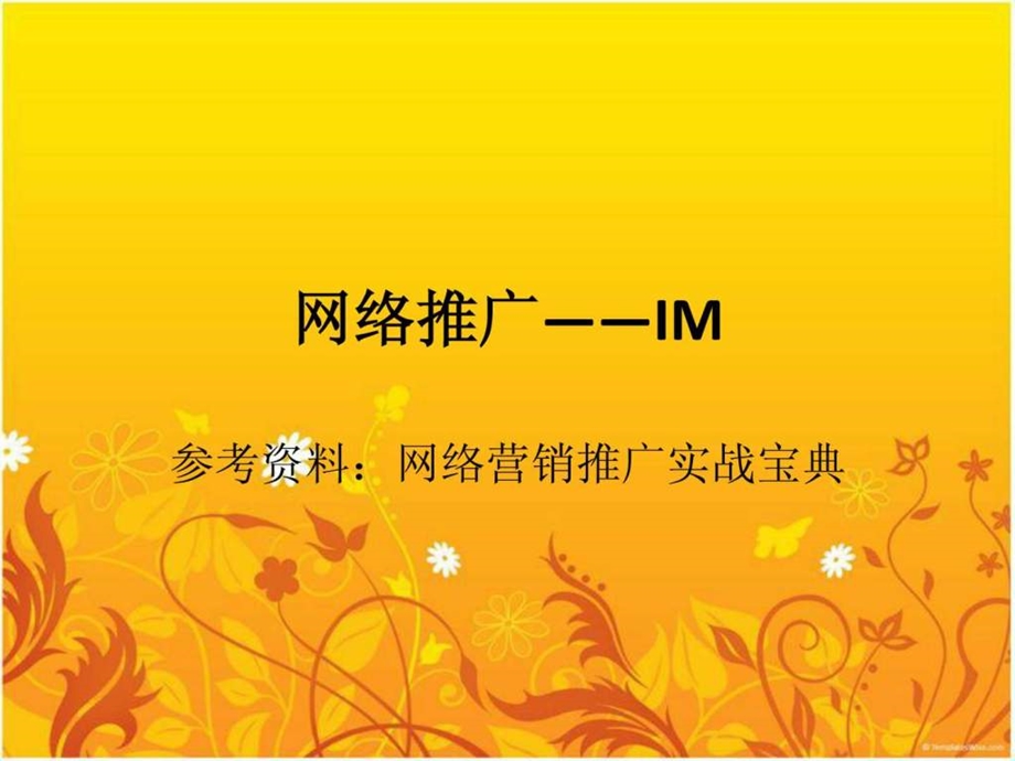 网络推广IM推广图文.ppt.ppt_第1页