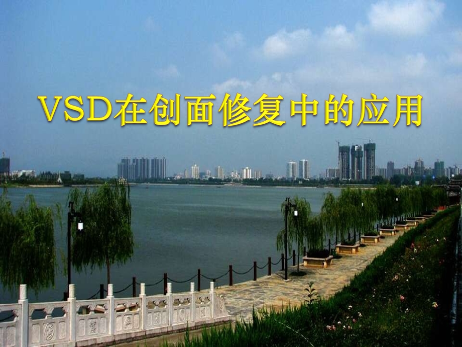 vsd在创面修复中的应用ppt课件.ppt_第1页