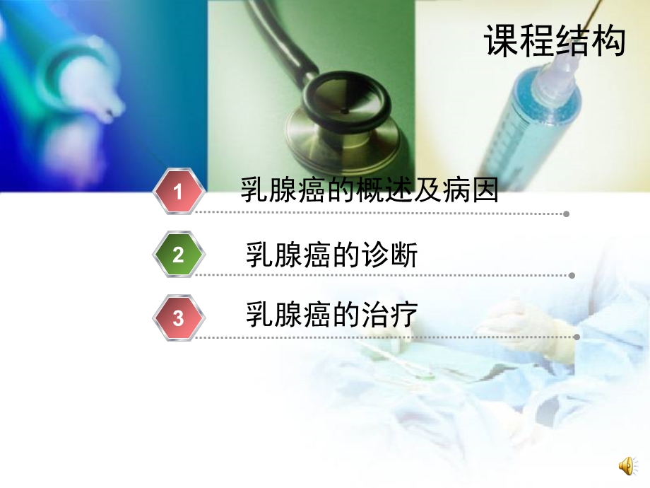 乳腺癌中西医结合诊疗北京中医院课件文档资料.ppt_第2页