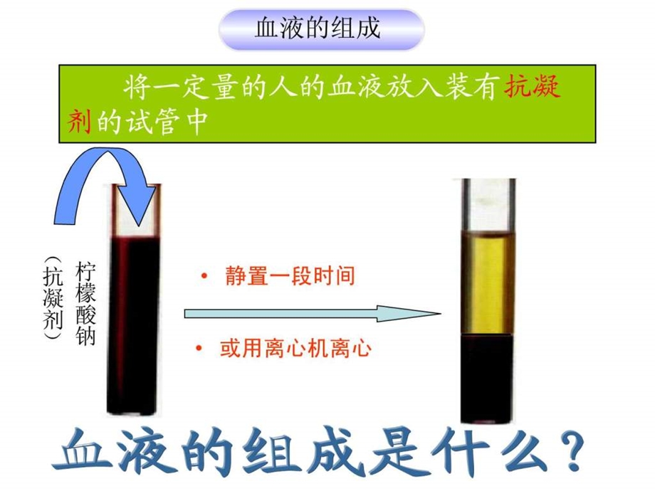 ...第四单元第四章第一节流动的组织血液人教..._第3页