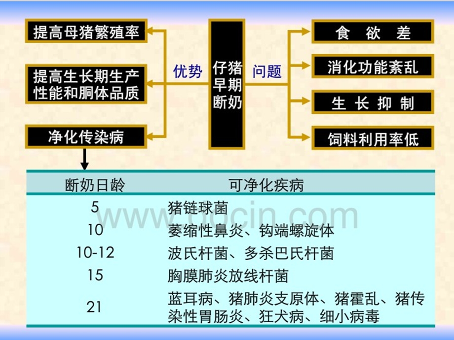 仔猪早期断奶应激反应机理与抗应激技术研究.ppt_第3页