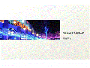 SOLANA蓝色港湾水吧招商策划.ppt