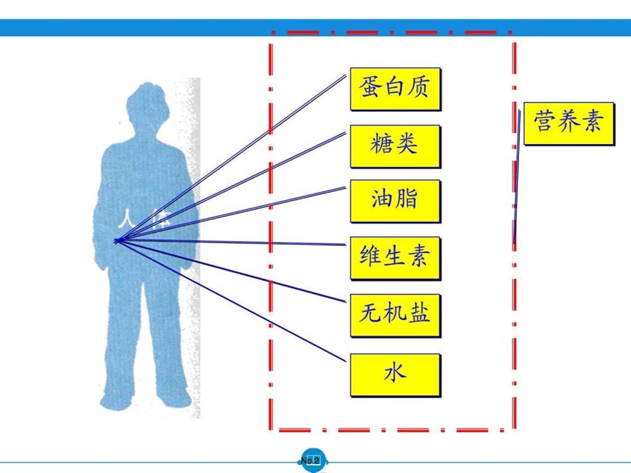 12.1人类重要的营养物质图文.ppt.ppt_第2页