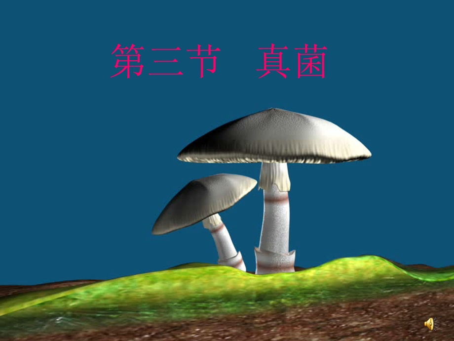 八上第三节《真菌》.ppt_第1页