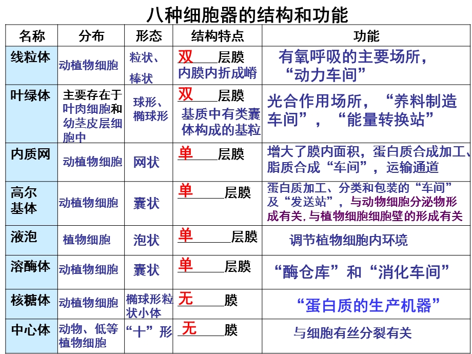 二节细胞器系统内的分工合作二课时文档资料.ppt_第3页