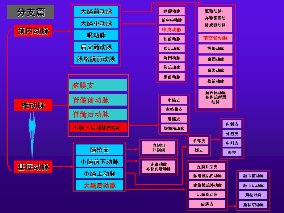 脑血管解剖1PPT文档.ppt_第3页