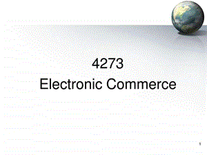 Ecommerce基础讲义PPT.ppt