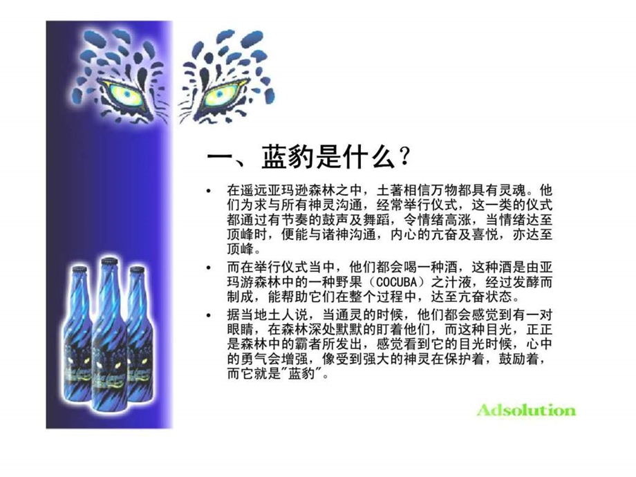 蓝豹汽酒开发之可行性报告.ppt_第2页