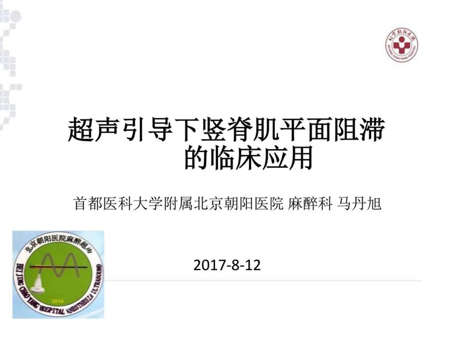 超声引导下竖脊肌阻滞在临床应用马丹旭图文.ppt11.ppt_第1页