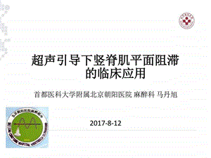 超声引导下竖脊肌阻滞在临床应用马丹旭图文.ppt11.ppt