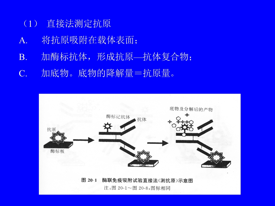 748一教学要求实验八酶联免疫吸附试验ELISA.ppt_第3页