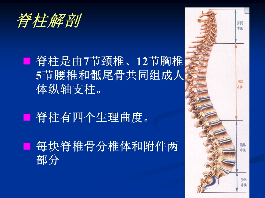 脊柱骨折讲精选文档.ppt_第3页