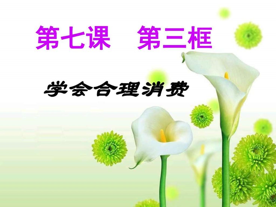 学会合理消费ppt图文.ppt.ppt_第2页