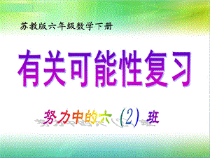 总复习有关可能性.ppt.ppt