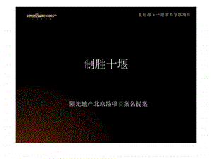 新项目案名提案.ppt.ppt