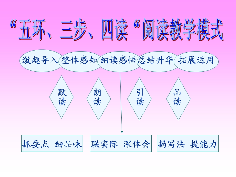 桃花心木正式课件2晓艳.ppt_第1页