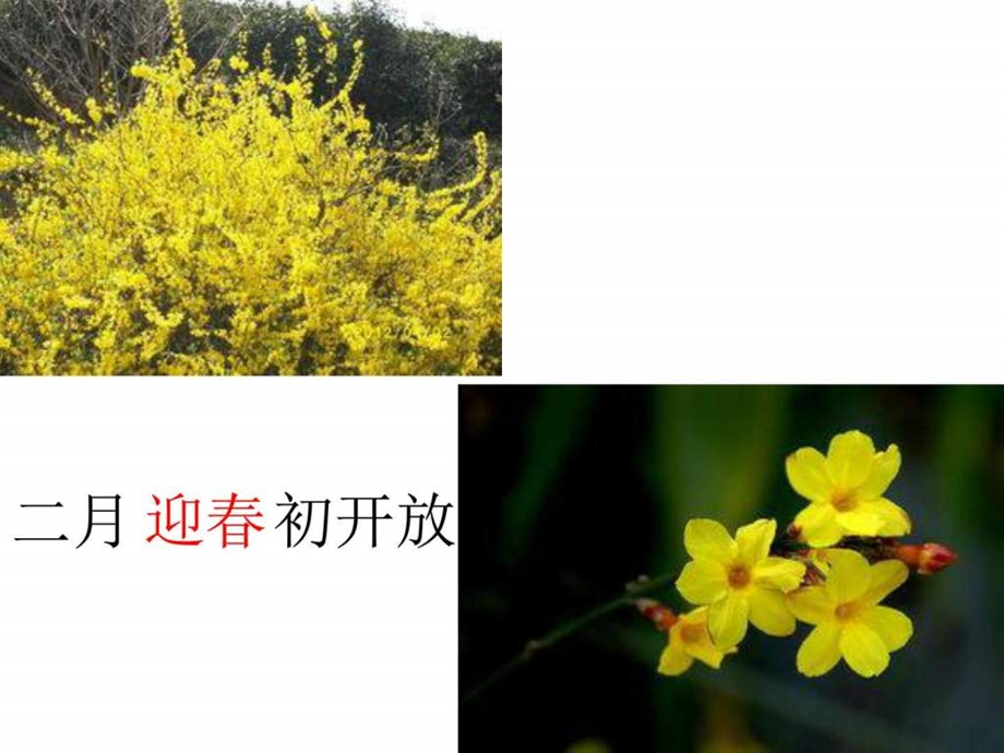 十二月花名歌图文1536879357.ppt.ppt_第3页