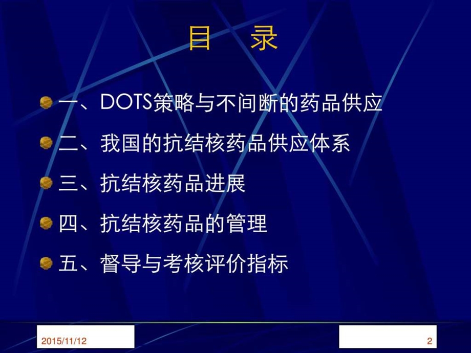 DOTS与药品图文.ppt.ppt_第2页