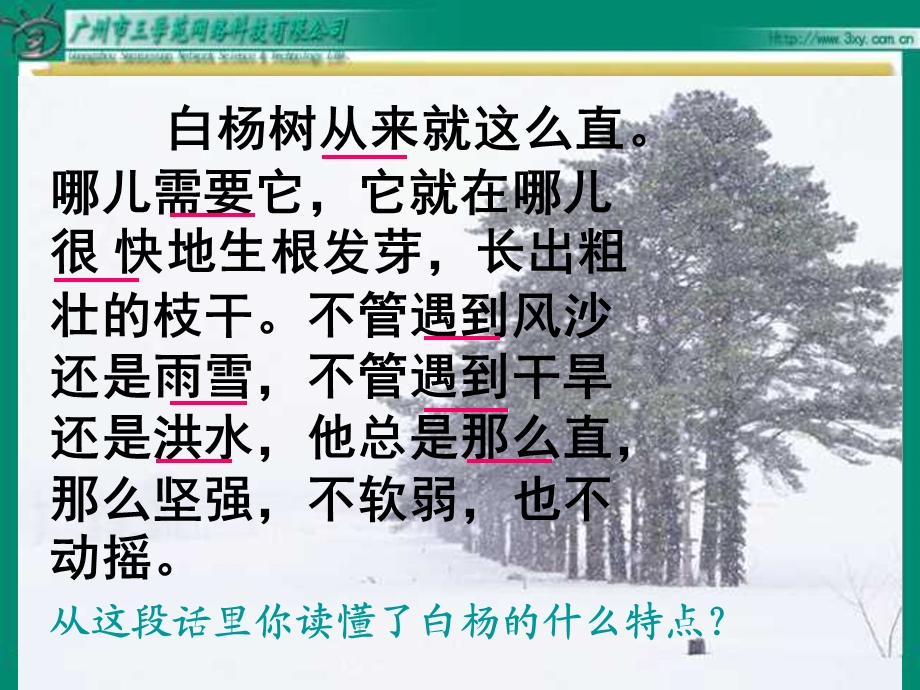 《白杨》PPT课件.ppt_第3页