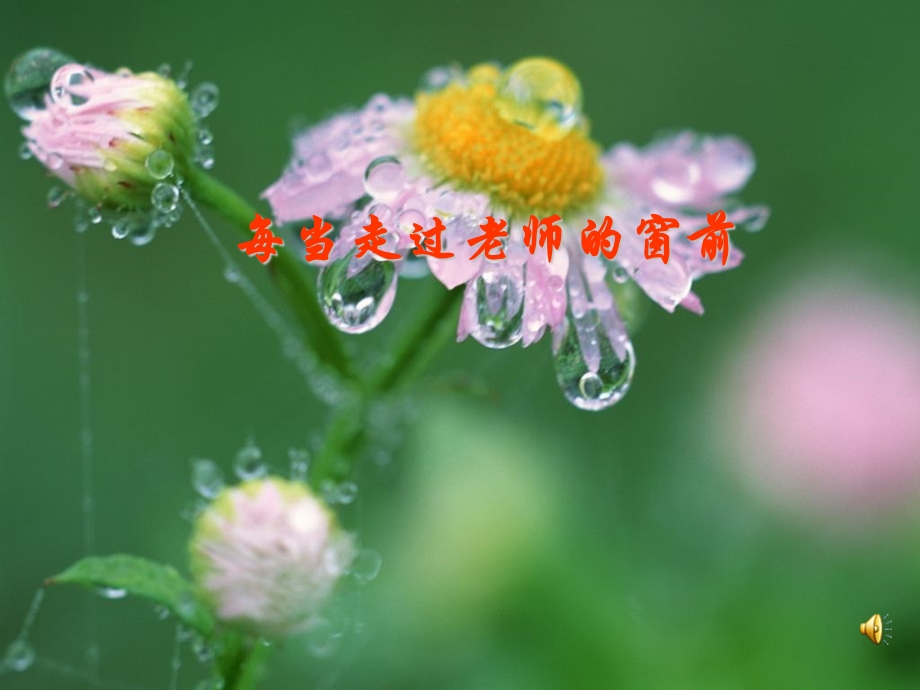 老师您好.ppt_第2页