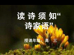 读诗须知诗家语.ppt.ppt