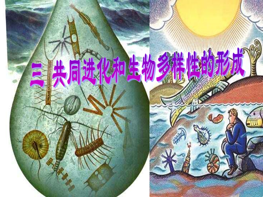 共同进化与生物多样性的形成.ppt_第1页