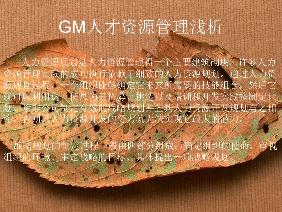 GM人才资源管理浅析.ppt_第1页