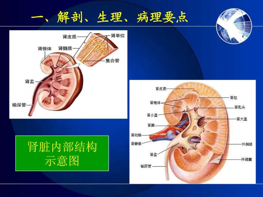 泌尿系统疾病常见症状体征的护理修改版.ppt_第3页