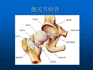 髋关节体格检查.ppt