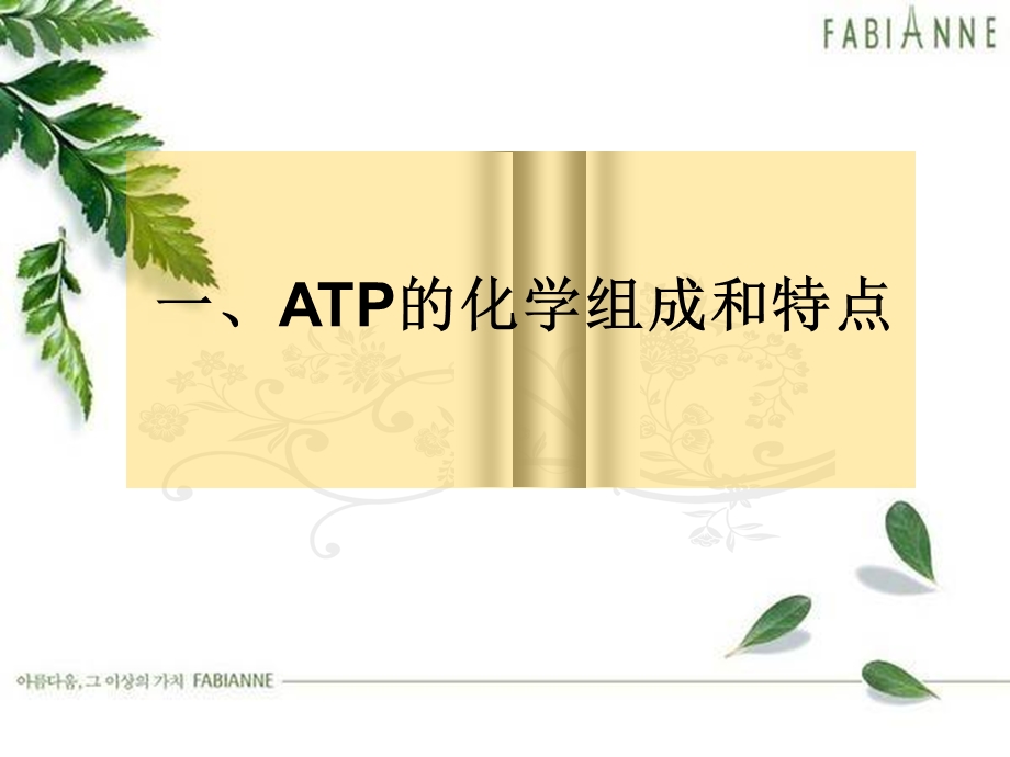 细胞的能量通货——ATP获奖精品课件(1).ppt_第3页