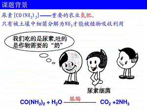 课题2土壤中分解尿素的细菌的分离与计数.ppt.ppt